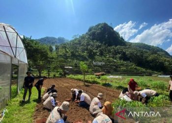 Keunggulan JIEP: Meraih Penghargaan Tertinggi dalam Keselamatan Kerja