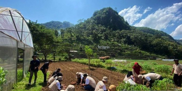 Keunggulan JIEP: Meraih Penghargaan Tertinggi dalam Keselamatan Kerja