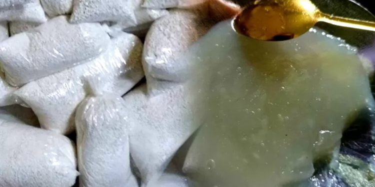 Ilustrasi Gambar Pati Garut