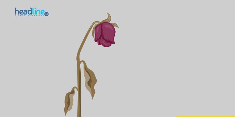 Remaja Ditemukan Tewas Tergantung di Rumahnya Sleman, Polisi Lakukan Penyelidikan Lebih Lanjut