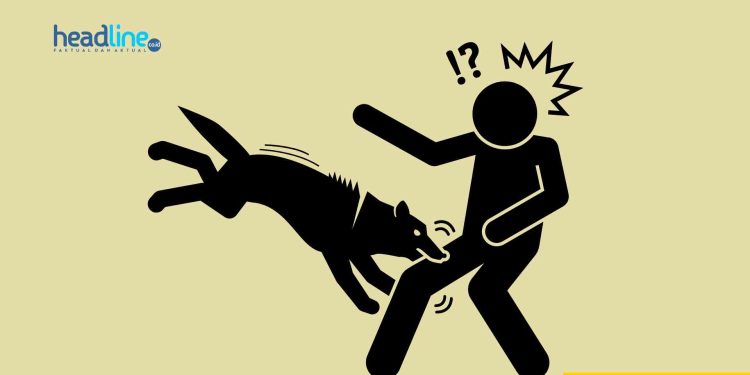Ilustrasi gambar orang di gigit anjing