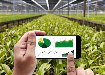 Ilustrasi gambar pertanian