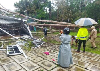 Pohon Tumbang menimpa Studio Alam di Bantul