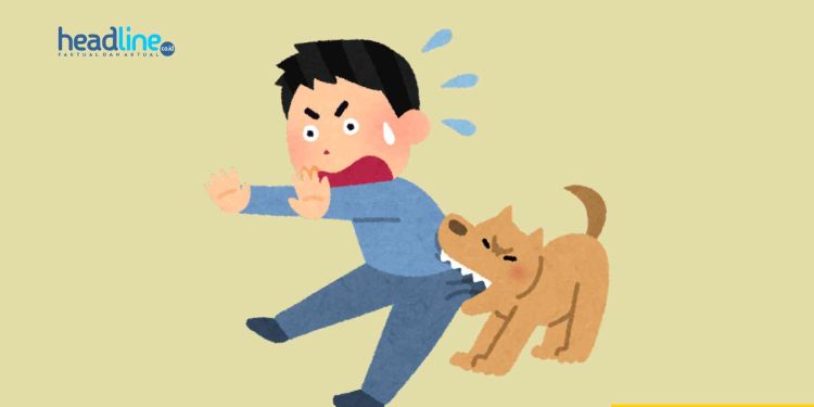 seorang pria di Sleman Didigit Anjing Hingga Putus