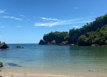 Harga Tiket Masuk Pantai Ngrenehan