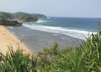 Harga Tiket masuk Pantai Watu Kodok