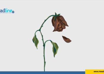 Ilustrasi gambar bunuh diri