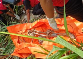 Penemuan Kerangka Tubuh Perempuan Muda di Kebun Tebu di Bantul (2)