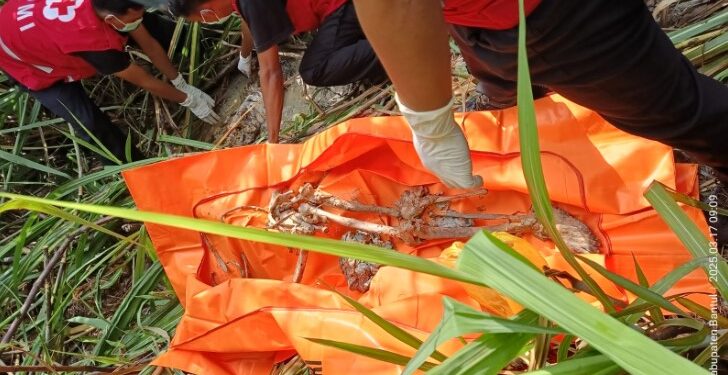 Penemuan Kerangka Tubuh Perempuan Muda di Kebun Tebu di Bantul (2)