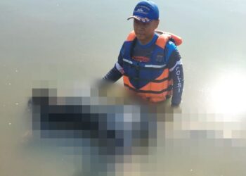 Korban Terseret Arus Sungai Progo di Sedayu Bantul Ditemukan Meninggal Dunia