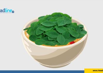 Resep Sop Daun Kelor