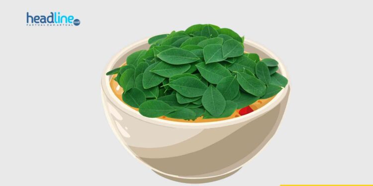 Resep Sop Daun Kelor