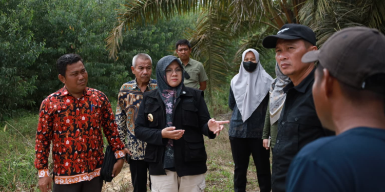 Bupati Siak Afni bersama Camat dan Penghulu Kampung Olak, Sungai Mandau tinjau lahan yang akan dijadikan pola kemitraan kampung Olak dengan perusahaan