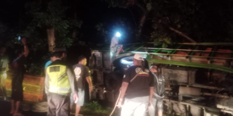 Petugas kepolisian dan warga bergotong royong mengevakuasi truk bermuatan ayam potong yang terguling di turunan bawah Kopi Moyeng, Girimulyo, Kulon Progo