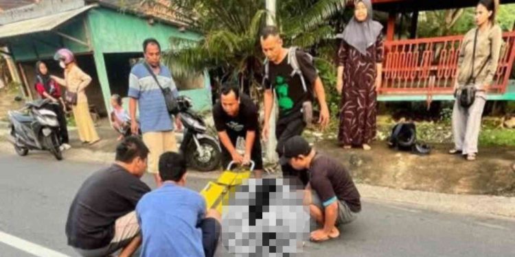 Remaja Putri Tak Sadarkan Diri Usai Alami Kecelakaan di Jalan Karangmojo-Semanu