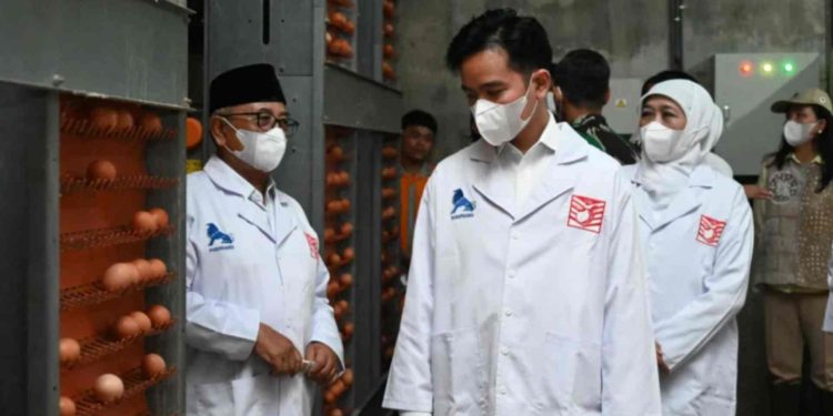 Wapres Gibran Tinjau Peternakan Modern di Blitar: Dorong Digitalisasi Peternakan Rakyat