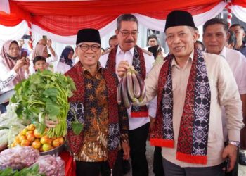 Maluku Capai 100 Persen Pembentukan Kopdes Merah Putih, Jadi Contoh Nasional