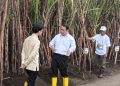 Menuju Swasembada Gula: Pemerintah Gas Pol dari Hulu ke Hilir, Target 2027 Jadi Tonggak Baru