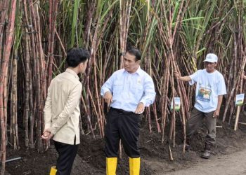 Menuju Swasembada Gula: Pemerintah Gas Pol dari Hulu ke Hilir, Target 2027 Jadi Tonggak Baru