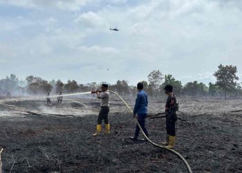 Karhutla di KITB Siak Berhasil Dipadamkan, Tim Gabungan Terus Lakukan Pendinginan