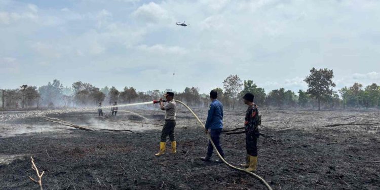 Karhutla di KITB Siak Berhasil Dipadamkan, Tim Gabungan Terus Lakukan Pendinginan