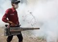 Tuban Darurat DBD: 10 Warga Meninggal, Dinkes Lakukan Fogging dan Serukan Gerakan 3M Plus