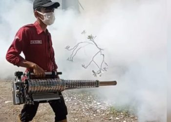 Tuban Darurat DBD: 10 Warga Meninggal, Dinkes Lakukan Fogging dan Serukan Gerakan 3M Plus