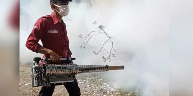 Tuban Darurat DBD: 10 Warga Meninggal, Dinkes Lakukan Fogging dan Serukan Gerakan 3M Plus