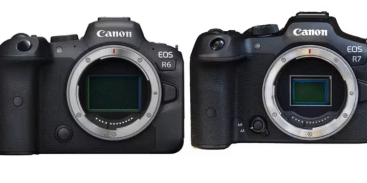 Apa Perbedaan Kamera APSC dan Full Frame