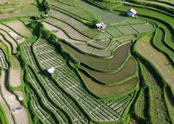Foto udara petani menggarap sawah di kawasan kaki Gunung Marapi, Nagari Pariangan, Tanah Datar, Sumatera Barat