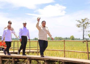 Ketahanan Pangan Indonesia Aman dan Kuat