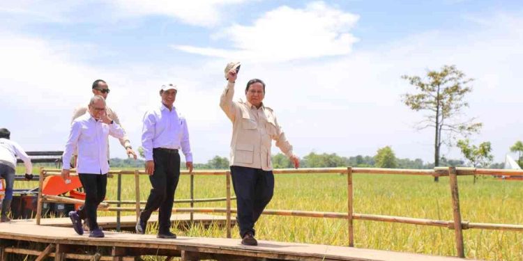 Ketahanan Pangan Indonesia Aman dan Kuat