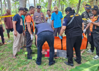 Petugas bersama warga mengevakuasi jasad pria lansia yang terjatuh dari pohon kelapa di Temon, Kulonprogo