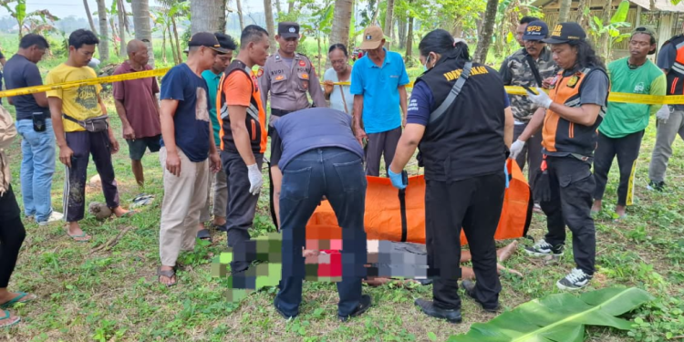 Petugas bersama warga mengevakuasi jasad pria lansia yang terjatuh dari pohon kelapa di Temon, Kulonprogo