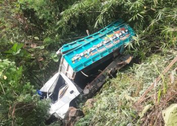 Rem Blong di Jalan Menurun, Truk Ringsek Usai Masuk Jurang di Pengasih