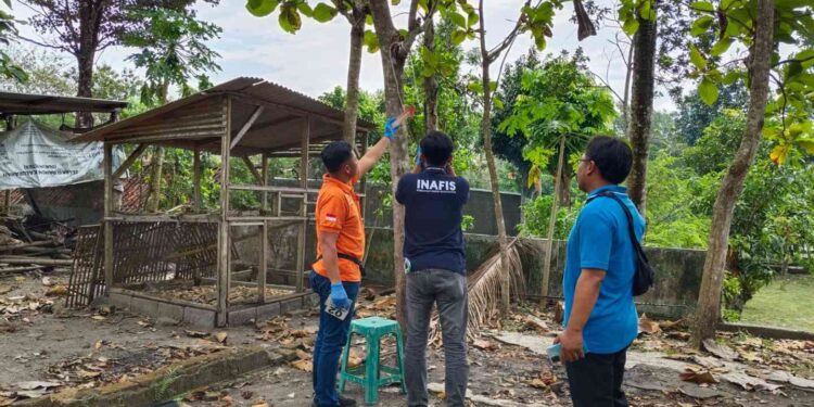 Petugas Inafis Polres Bantul bersama warga melakukan olah tempat kejadian perkara (TKP) di lokasi penemuan pria berinisial SS (74) yang ditemukan meninggal dunia dengan cara gantung diri di pohon jati