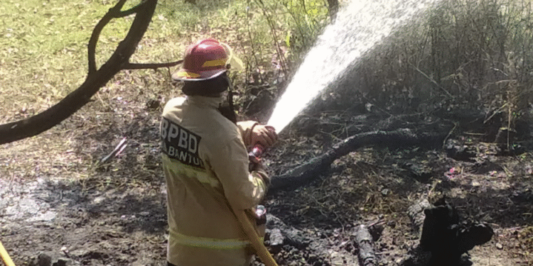 Petugas pemadam kebakaran BPBD Bantul berusaha memadamkan api yang membakar tumpukan kayu di pinggir Sungai Opak, sekitar wisata Bojong Asri, Parangtritis, Kretek, Bantul, Minggu (7/9/2025).