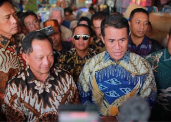 Mentan Andi Amran Sulaiman. Foto: Istimewa