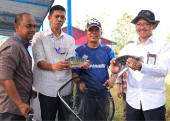 Direktorat Jenderal Pendidikan Vokasi, Pendidikan Khusus, dan Pendidikan Layanan Khusus (Ditjen Vokasi PKPLK) Kemendikdasmen memperkuat kolaborasi dengan Politeknik Pertanian Negeri Pangkajene Kepulauan (Politani Pangkep).(Foto: Dok Kemendikdasmen)