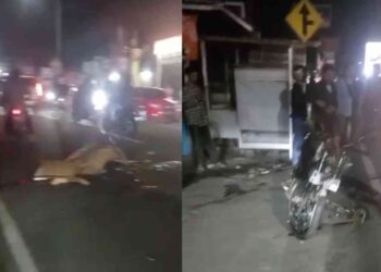 kecelakaan di Jalan Kaliurang Km 13, Sleman, Senin (1/9/2025) malam. Seorang pengendara motor Suzuki Satria tewas di lokasi setelah bertabrakan dengan mobil Honda Accord