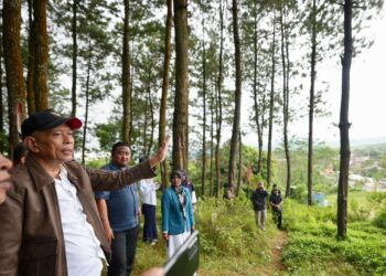 Wakil Menteri Sosial (Wamensos), Agus Jabo Priyono meninjau calon lahan pembangunan Sekolah Rakyat permanen di Desa Girirejo, Kecamatan Kaliangkrik, Kabupaten Magelang, Jawa Tengah, Minggu (26/10/2025). Lahan seluas 10 hektare ini disiapkan untuk menampung dua sekolah rakyat rintisan dan akan menjadi bagian dari 104 titik pembangunan Sekolah Rakyat permanen tahap pertama. (Foto: Kemensos)