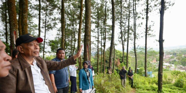 Wakil Menteri Sosial (Wamensos), Agus Jabo Priyono meninjau calon lahan pembangunan Sekolah Rakyat permanen di Desa Girirejo, Kecamatan Kaliangkrik, Kabupaten Magelang, Jawa Tengah, Minggu (26/10/2025). Lahan seluas 10 hektare ini disiapkan untuk menampung dua sekolah rakyat rintisan dan akan menjadi bagian dari 104 titik pembangunan Sekolah Rakyat permanen tahap pertama. (Foto: Kemensos)