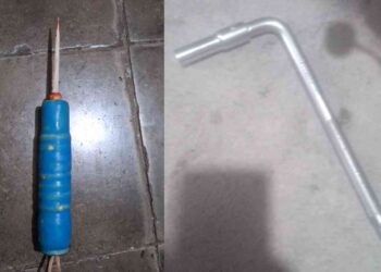 Pria di Bantul Dianiaya Pakai Cula Ikan Pari, Pelaku Diamankan Polisi