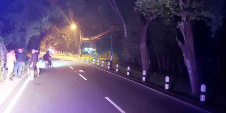 Pejalan Kaki ODGJ Tewas Usai Terlibat Kecelakaan di Jalan Brosot-Nagung Kulon Progo