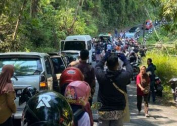 Kondisi Pohon Tumbang menimpa seorang pengendara di Jalan Dekso–Samigaluh Kulon Progo
