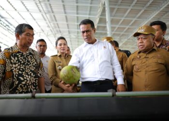Menteri Pertanian (Mentan) Andi Amran Sulaiman (baju putih memegang kelapa) saat berkunjung ke pabrik pengolahan kelapa PT NICO, di Halmahera Utara, Maluku Utara, Minggu (27/10/2025). (Foto: Dok. Kementan RI)
