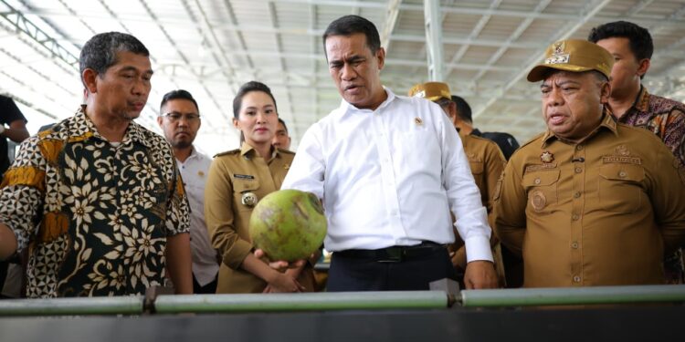 Menteri Pertanian (Mentan) Andi Amran Sulaiman (baju putih memegang kelapa) saat berkunjung ke pabrik pengolahan kelapa PT NICO, di Halmahera Utara, Maluku Utara, Minggu (27/10/2025). (Foto: Dok. Kementan RI)