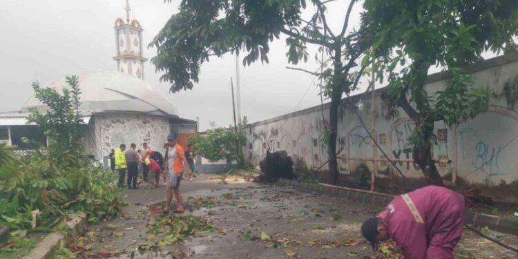 Petugas Polsek Mergangsan dan warga membersihkan batang pohon tumbang yang menutup akses jalan di Blok D Perumahan Tamansiswa Indah