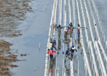 Ini Progres Program Strategis Nasional di Sektor Perikanan Budi Daya : Foto; Dok. KKP