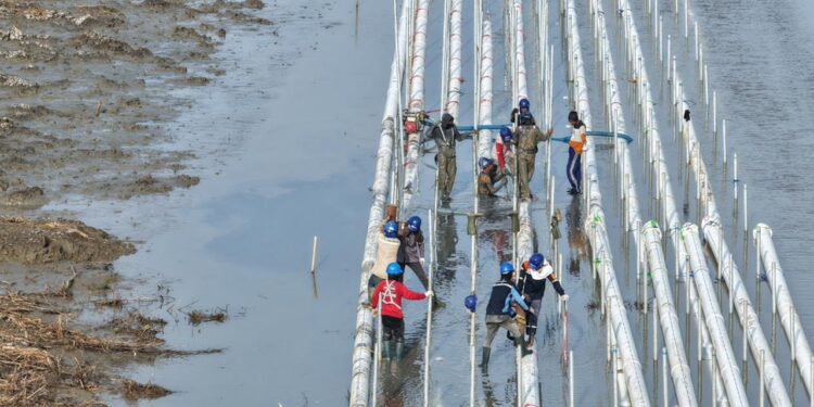 Ini Progres Program Strategis Nasional di Sektor Perikanan Budi Daya : Foto; Dok. KKP